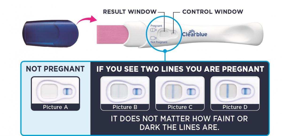 Clearblue Rapid Detection Pregnancy Test (Results 5 Days Sooner), 2 Pa —  Mountainside Medical Equipment